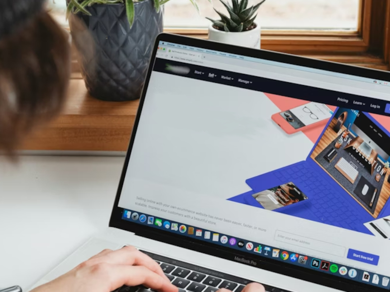 Gestión de los Negocios Online 2.0