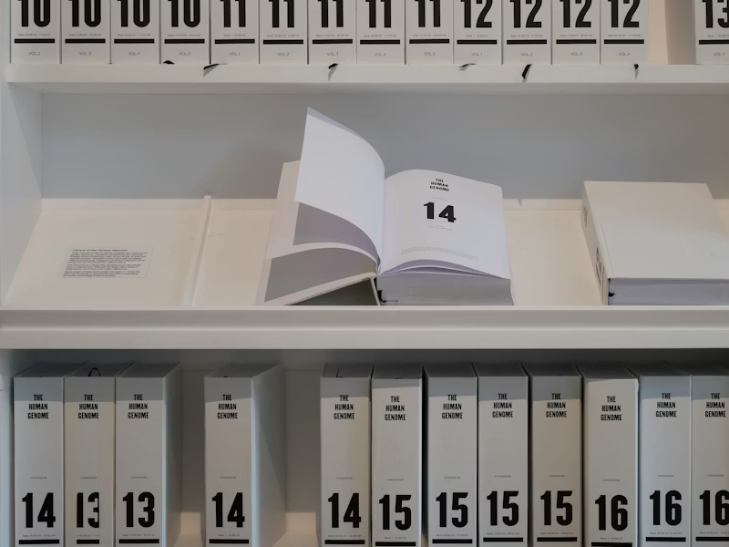 Plan General Contable